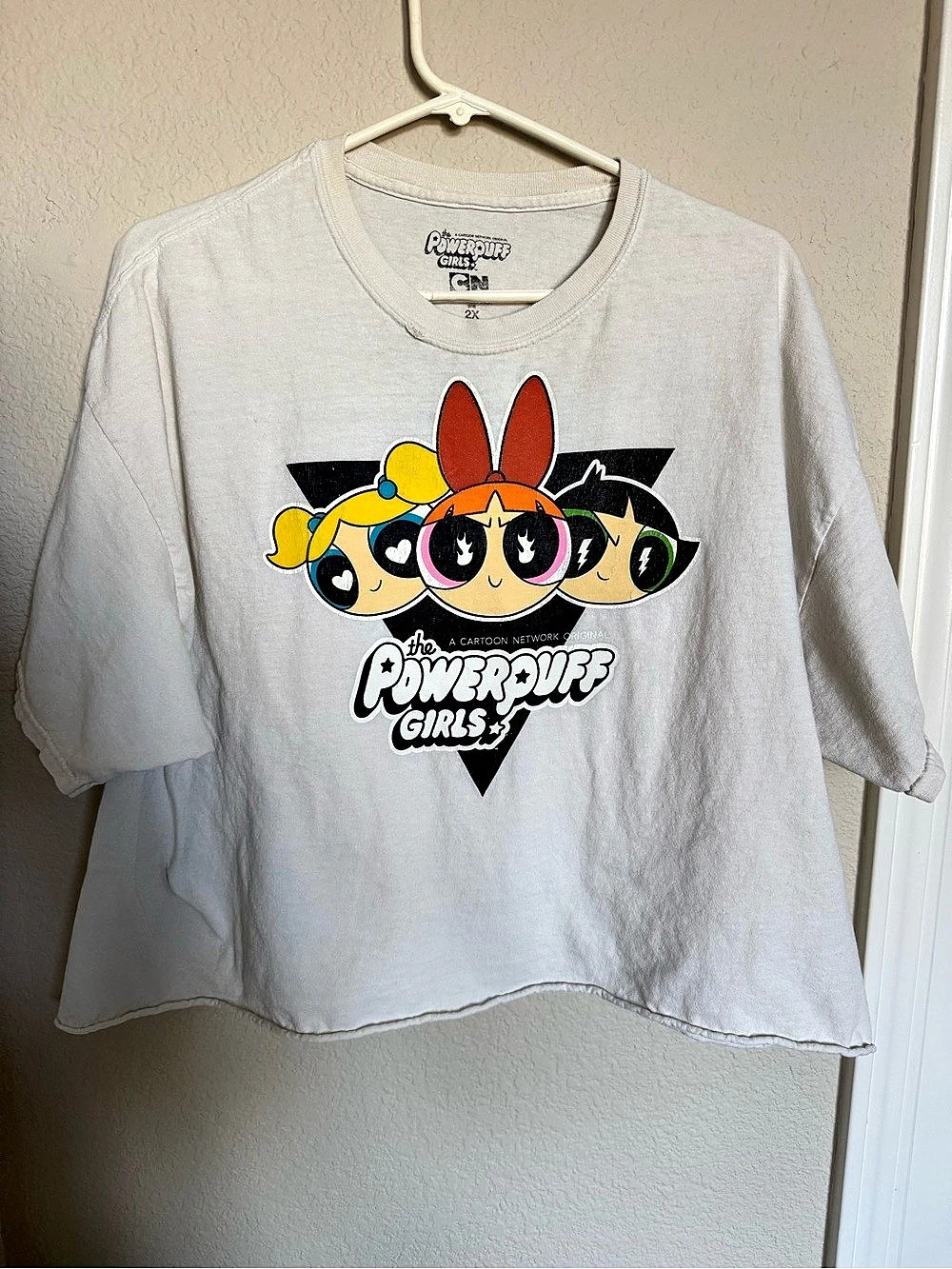 Powerpuff Girls White Crop Top 2X